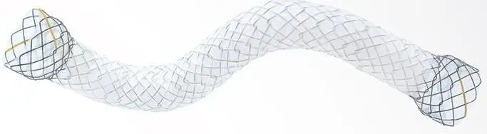 HILZO stent biliární část. potažený (tělo PTFE), endoskopický